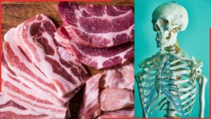 bone-health-can-eating-meat-weaken-bones-297