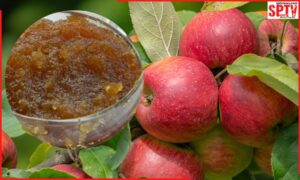 how-to-make-apple-murabba-know-recipe-and-benefits-of-eating-it