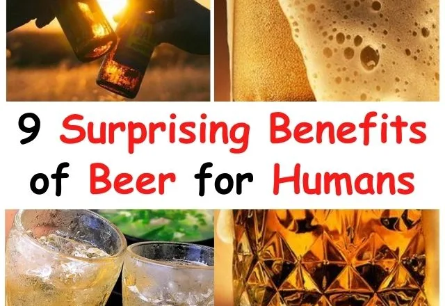 Definitely Know: 9 Surprising Benefits of Beer for Humans